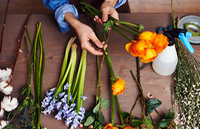 how to pick flowers for all occasions