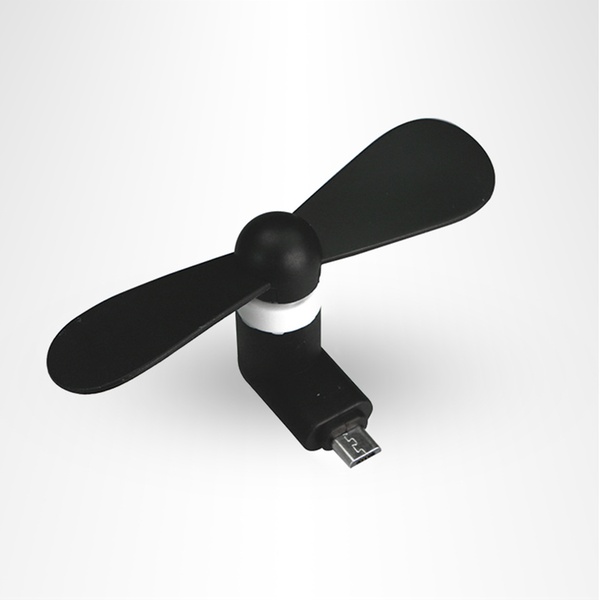fan