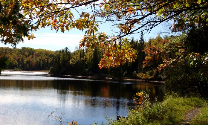 Autumn leaves around a Wisconsin lake