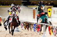 Medieval Times: A Day in the Life of a Knight