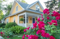 Guide to Buying and Planting Flowers