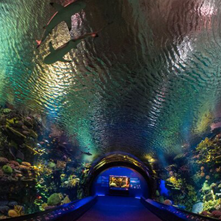 aquarium