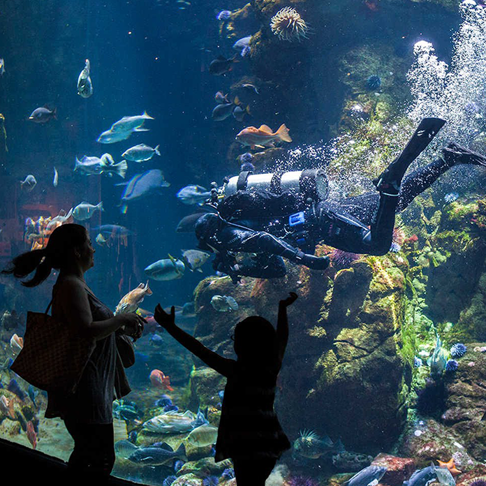 california academy of sciences