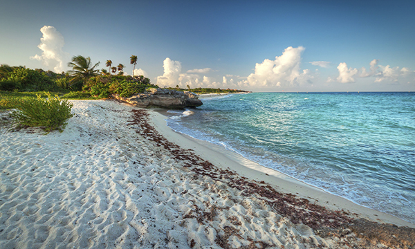 playa del carmen