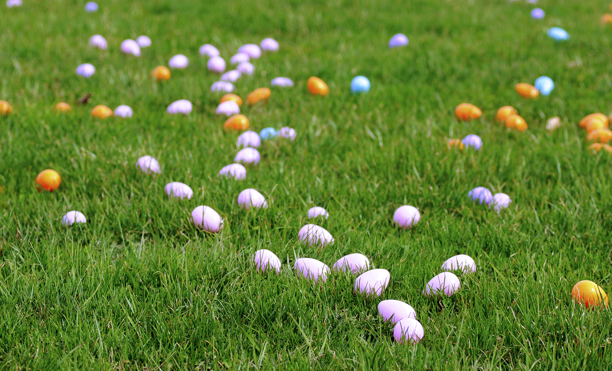 Pasqua a Catania: 5 ristoranti per tutti i gusti