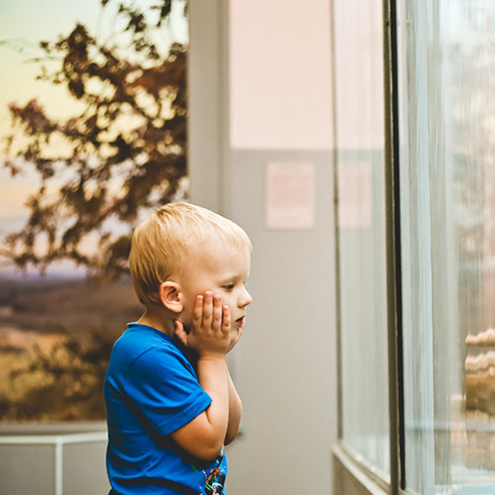 museums