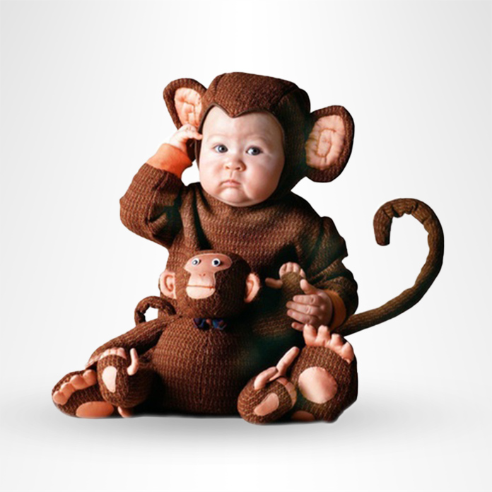 Baby in a monkey costume holding a toy monkey