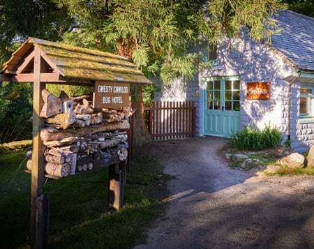 snowdonia glamping