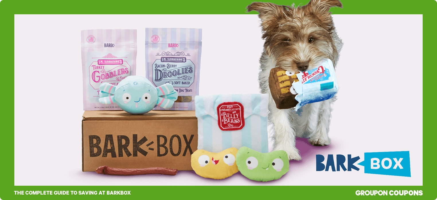 The Complete Guide to Saving at BarkBox