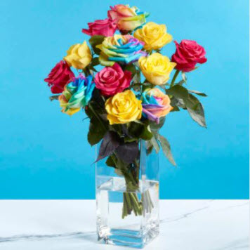 rainbow roses