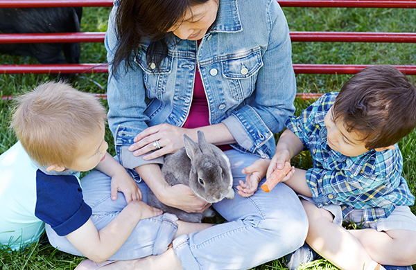 Kids Activities outdoors petting zoo jpg
