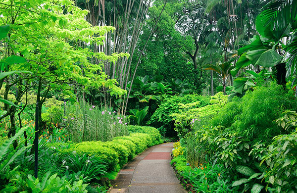 America's Best Botanical Gardens: What to See