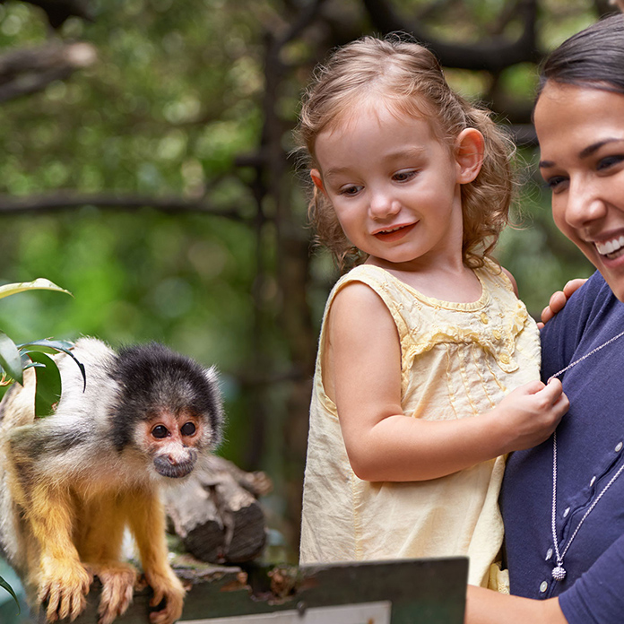 zoo