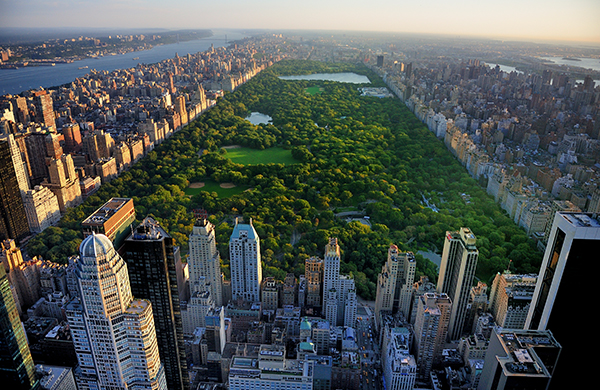 central park new york city nyc jpg  jpg