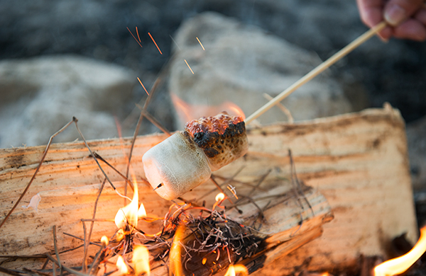 roasted-marshmallows-are-so-over-smores_classic_600c390