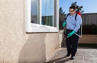 pest control