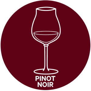 Pinot noir style wine glass