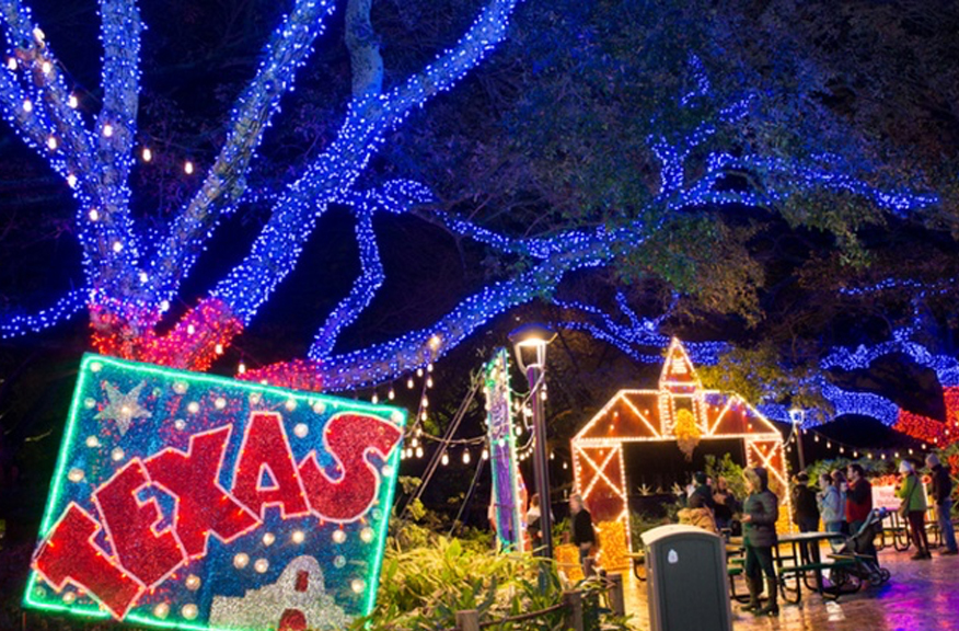 Why You Should Visit Zoo Lights at the Houston Zoo