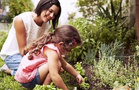 Gardening Tools Guide