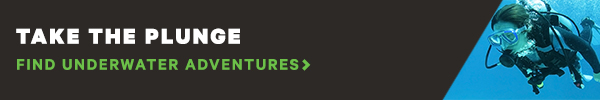 Scuba Shop Banner jpg