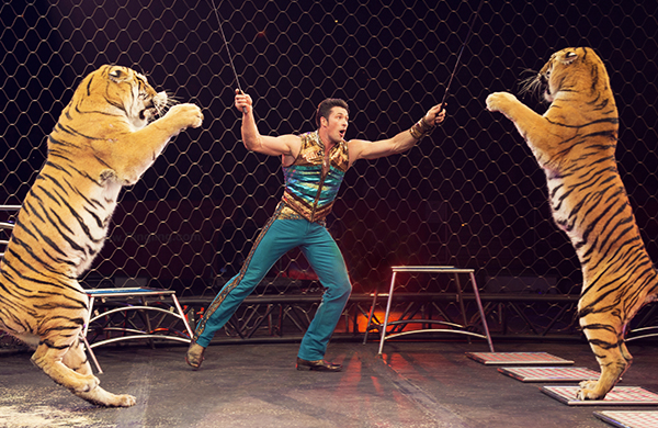 Ringling Bros.' Alexander Lacey on Training Big Cats Tigers