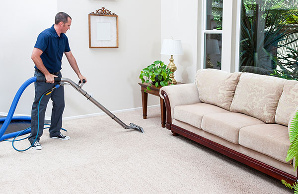 Carpet Cleaning Professional