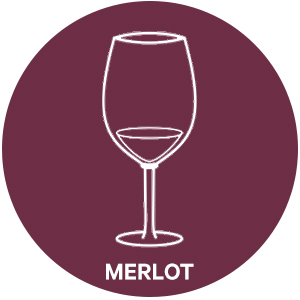 Merlot style wine glass