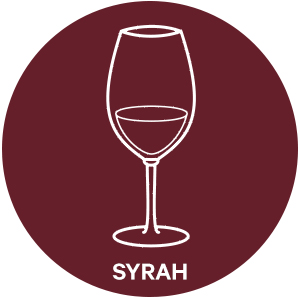 Syrah shiraz style wine glass