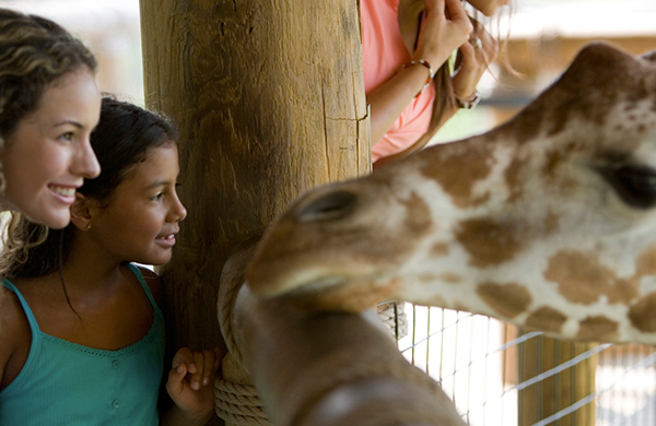 Kids Activities in Chicago ZOO jpg