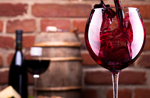 The Wine Tasting Guide: Tips on Types, Cost & More