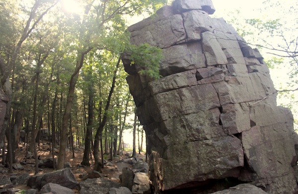 Is This Poison Ivy? - Devil's Lake State Park Area Visitor's Guide