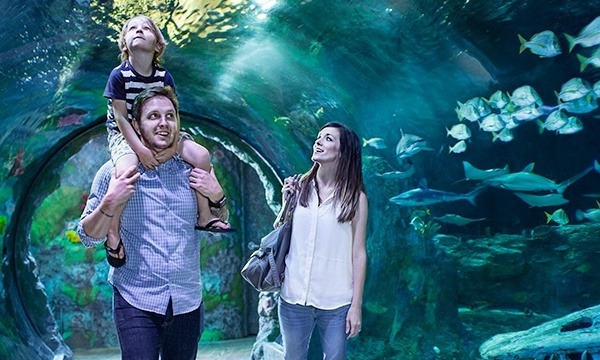 7 Things To Do In Orlando With Kids Besides Disney