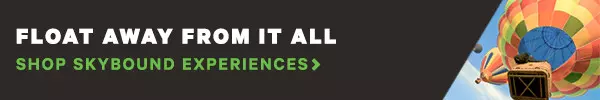 Shop Skybound banner jpg