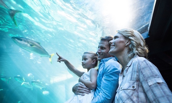 10 Best Aquariums in the US