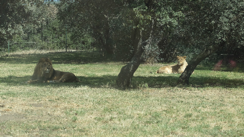 Partagez une journée au Zoo de la Barben avec vos enfants !!   