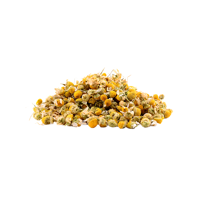 chamomile