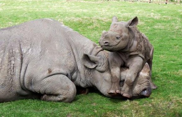 Regali artigianali per la festa della mamma 