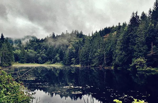 A Delicious Day Trip to Bow-Edison