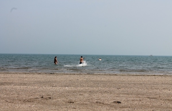 Surf Lido Venezia