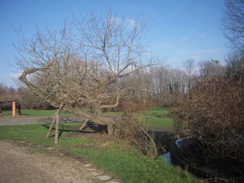 Boscoincittà, il parco pubblico di Milano