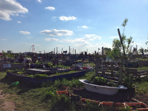 Berlin umgraben: Urban Gardening in der Hauptstadt