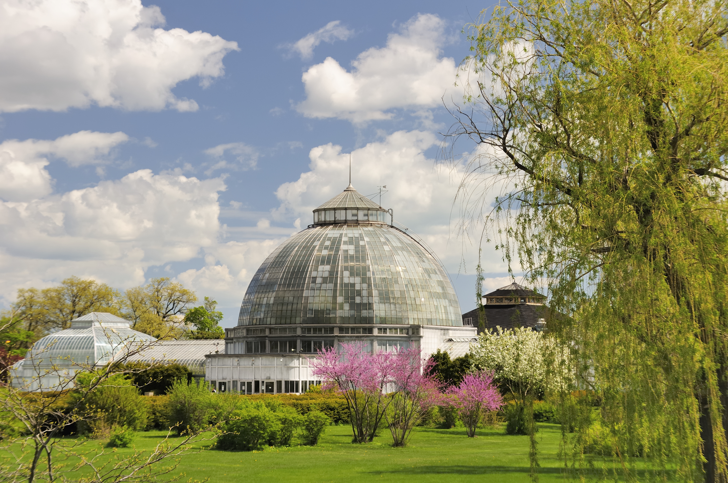 San Diego Botanical Garden Deals In And Near San Diego Ca Groupon
