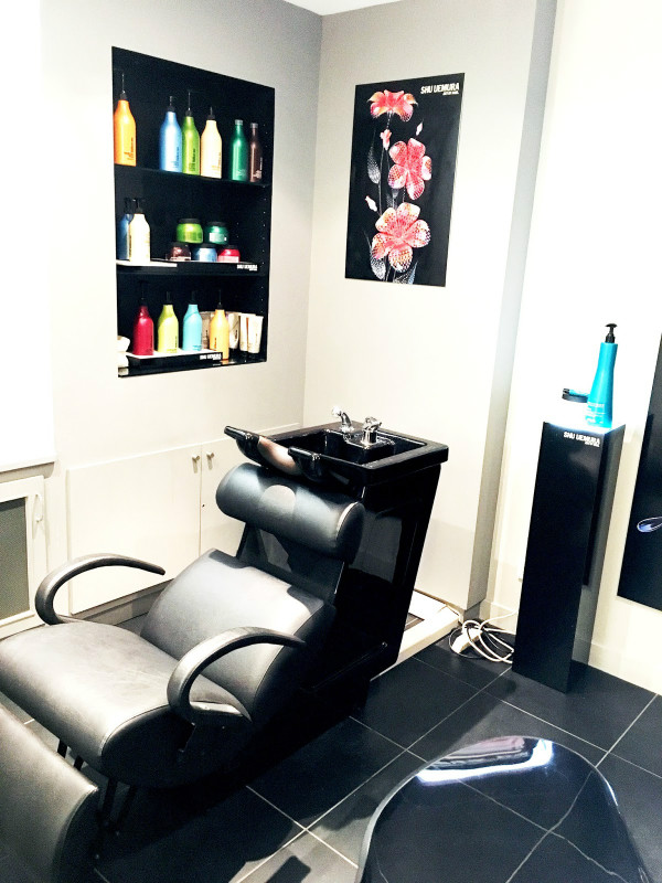 soins pour cheveux vanessa laporte coiffure bordeaux
