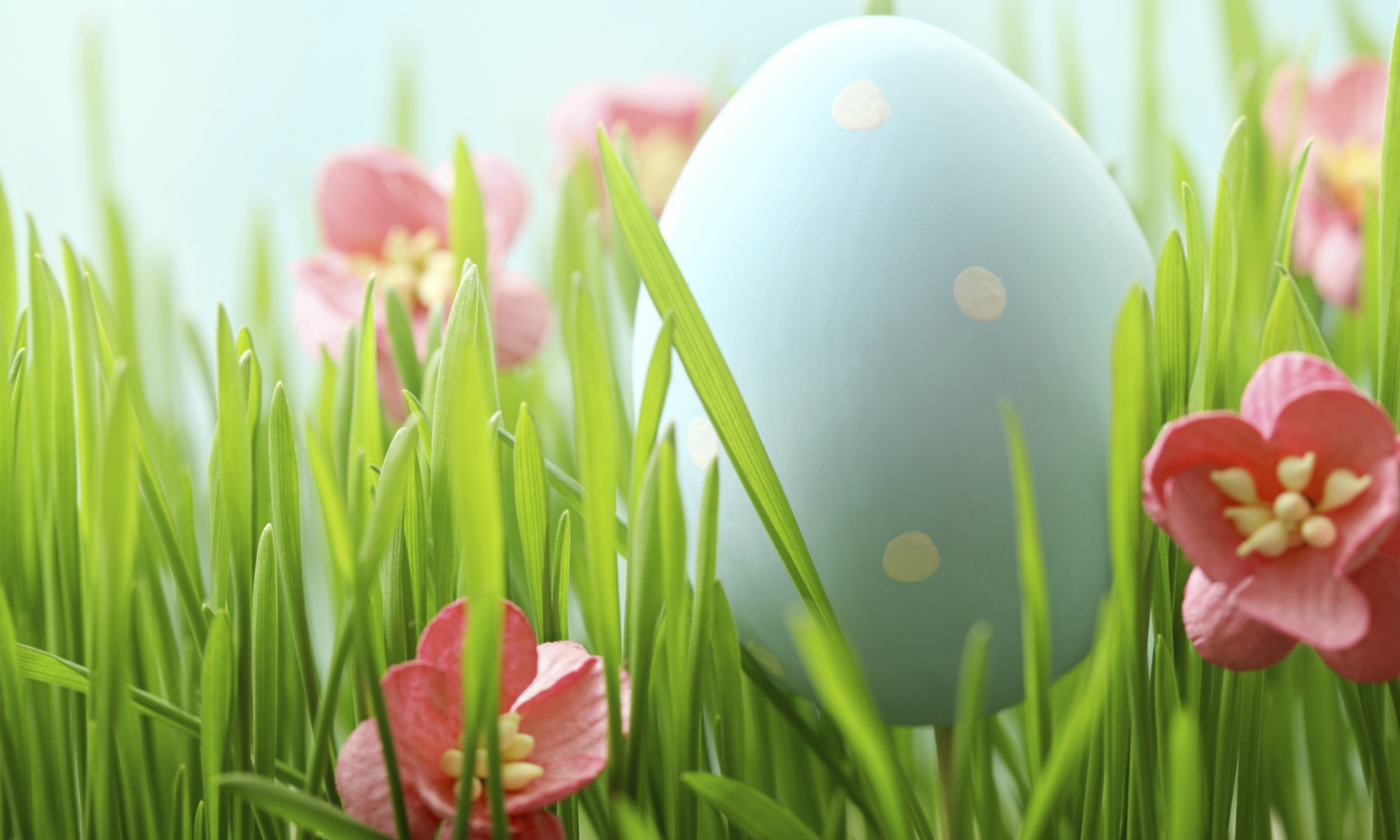 Pasqua a Torino, ecco dove andare a mangiare