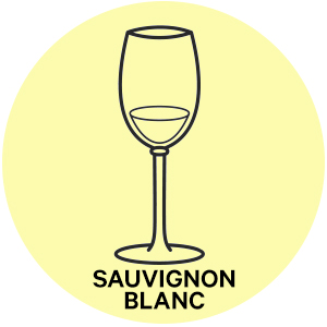 Sauvignon blanc style wine glass