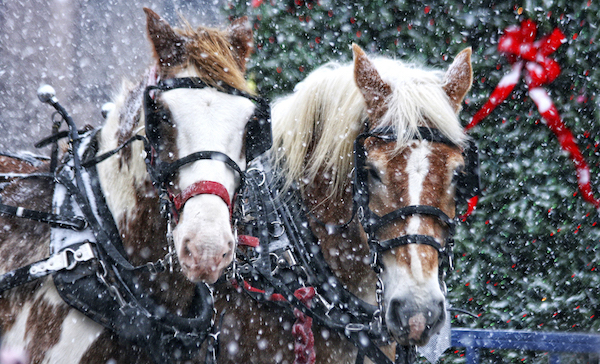 steamboat springs winter carnival