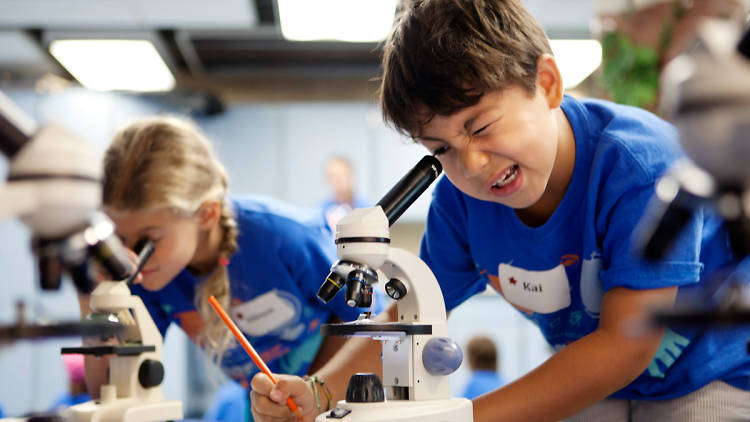 Time Out’s Chicago Summer Camp Guide to General Interest Camps