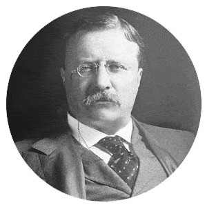 15 Inspiring Presidential Quotes for Small Business Owners: Photograph of Theodore Roosevelt