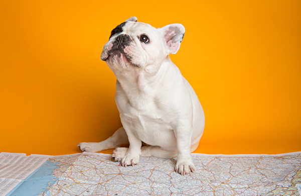 bestoftravel2k15 TRAVELWITHMANNY jpg