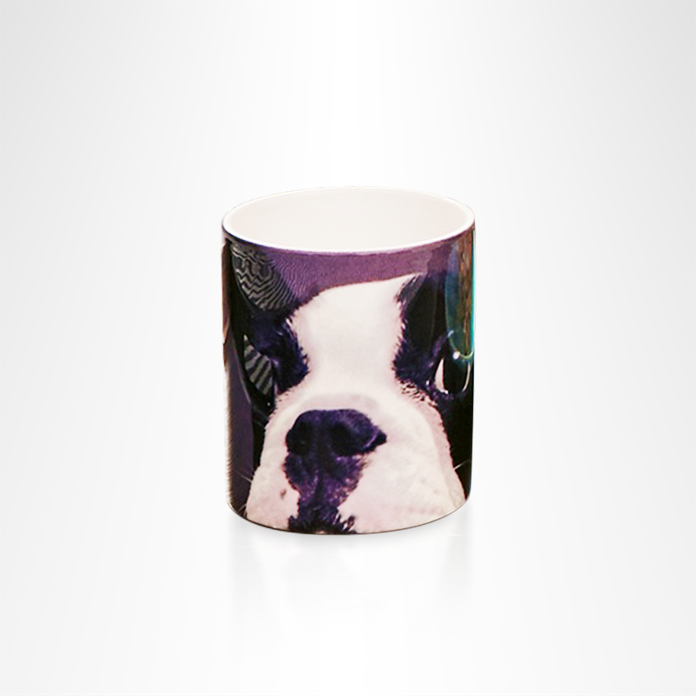 Pet Mug